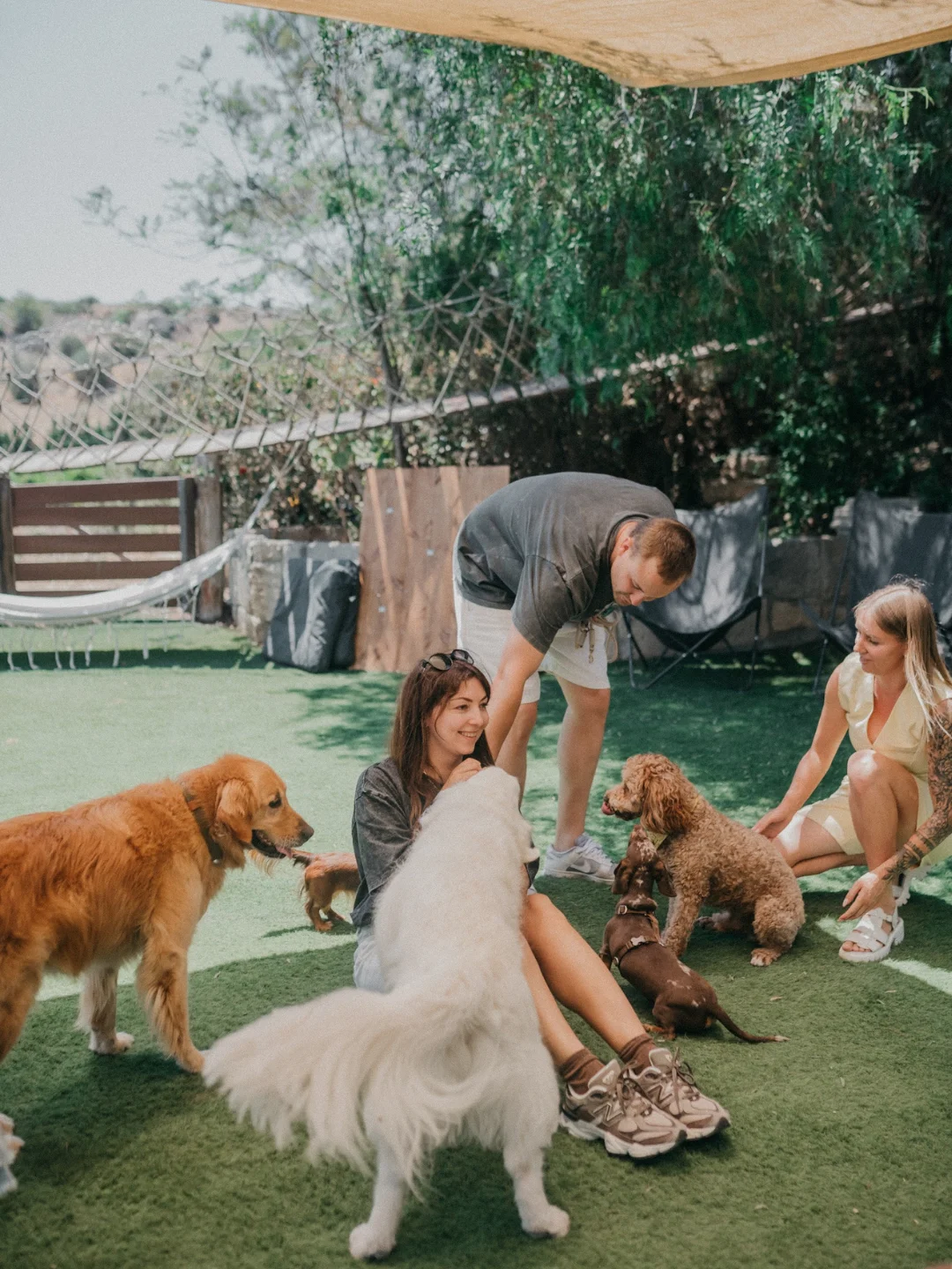DOG DAY